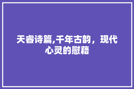 天睿诗篇,千年古韵，现代心灵的慰藉