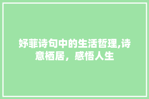 妤菲诗句中的生活哲理,诗意栖居，感悟人生