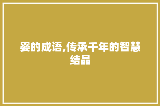 婴的成语,传承千年的智慧结晶