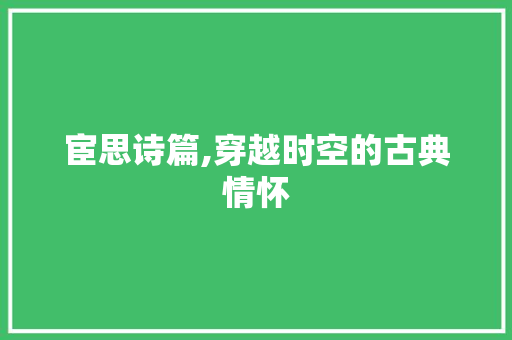 宦思诗篇,穿越时空的古典情怀
