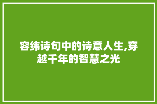 容纬诗句中的诗意人生,穿越千年的智慧之光 诗词鉴赏