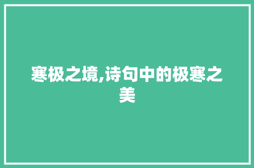 寒极之境,诗句中的极寒之美