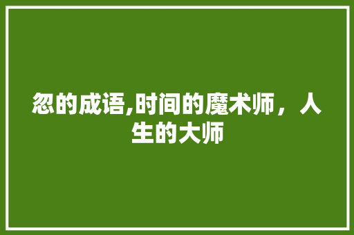 忽的成语,时间的魔术师，人生的大师
