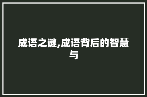 成语之谜,成语背后的智慧与 国学经典