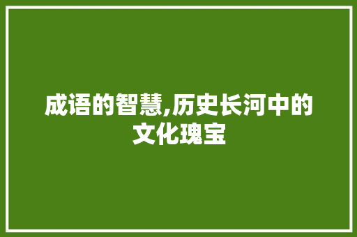 成语的智慧,历史长河中的文化瑰宝