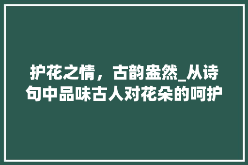 护花之情，古韵盎然_从诗句中品味古人对花朵的呵护