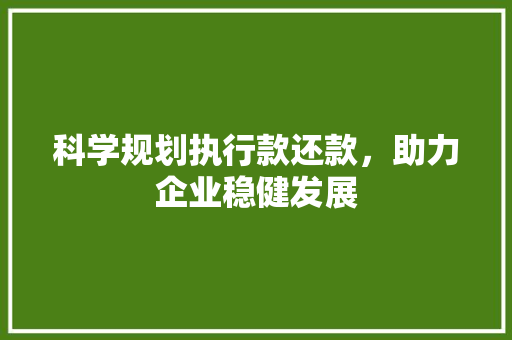 科学规划执行款还款，助力企业稳健发展