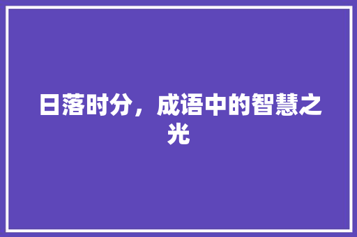 日落时分，成语中的智慧之光