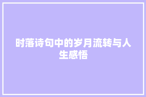 时落诗句中的岁月流转与人生感悟