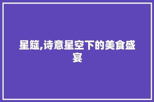 星筵,诗意星空下的美食盛宴
