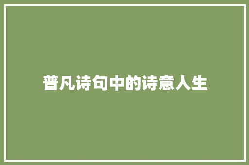 普凡诗句中的诗意人生
