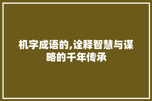机字成语的,诠释智慧与谋略的千年传承