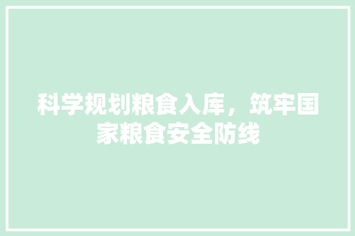 科学规划粮食入库，筑牢国家粮食安全防线