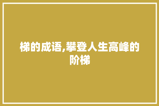 梯的成语,攀登人生高峰的阶梯 国学经典