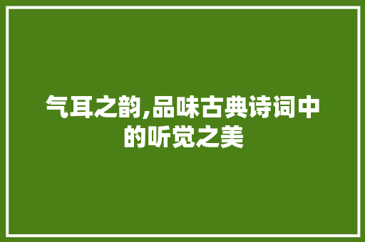 气耳之韵,品味古典诗词中的听觉之美 个人简历