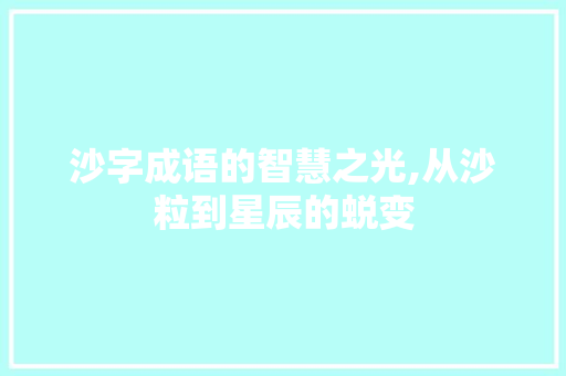 沙字成语的智慧之光,从沙粒到星辰的蜕变