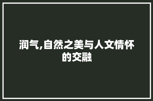 润气,自然之美与人文情怀的交融