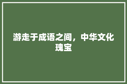 游走于成语之间，中华文化瑰宝 国学经典