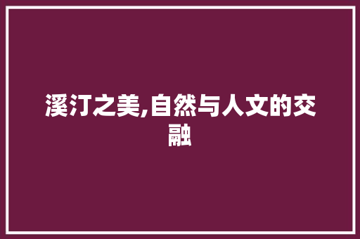 溪汀之美,自然与人文的交融 工作总结