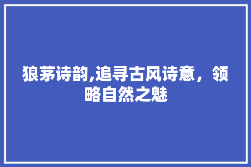 狼茅诗韵,追寻古风诗意，领略自然之魅