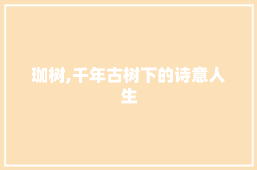 珈树,千年古树下的诗意人生