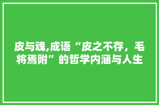 皮与魂,成语“皮之不存，毛将焉附”的哲学内涵与人生启示