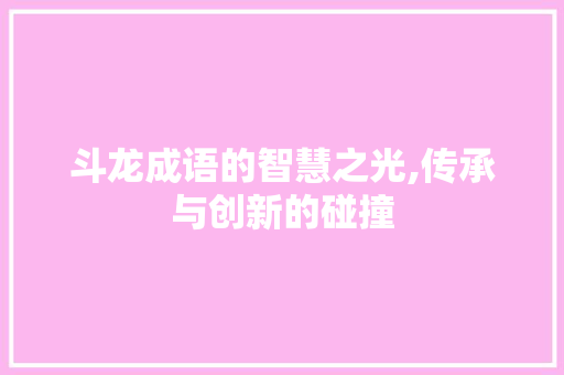 斗龙成语的智慧之光,传承与创新的碰撞 演讲稿