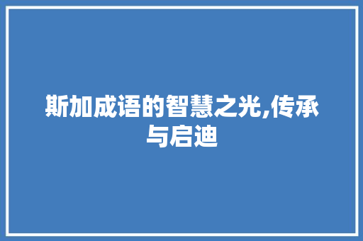 斯加成语的智慧之光,传承与启迪