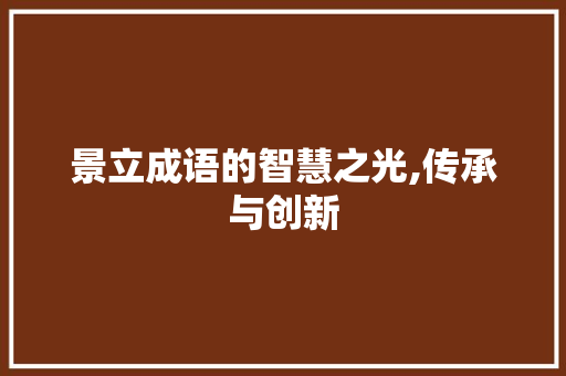景立成语的智慧之光,传承与创新 工作总结