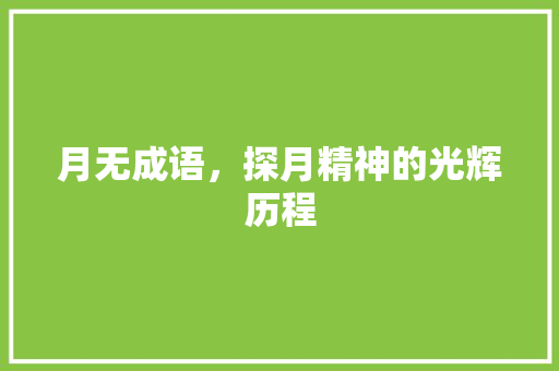 月无成语，探月精神的光辉历程