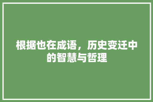 根据也在成语，历史变迁中的智慧与哲理 工作计划