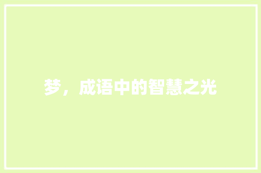 梦，成语中的智慧之光 个人简历