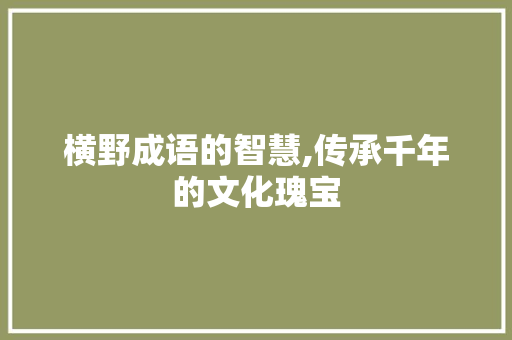 横野成语的智慧,传承千年的文化瑰宝 诗词鉴赏