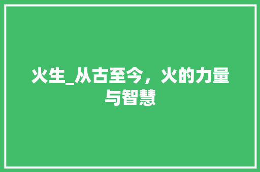 火生_从古至今，火的力量与智慧 工作计划