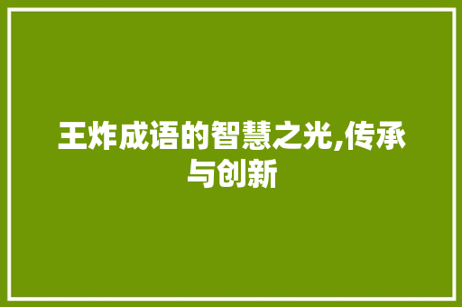 王炸成语的智慧之光,传承与创新