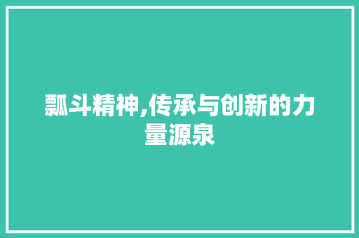 瓢斗精神,传承与创新的力量源泉
