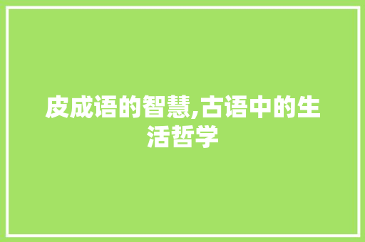 皮成语的智慧,古语中的生活哲学