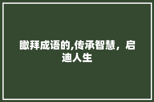 瞰拜成语的,传承智慧，启迪人生