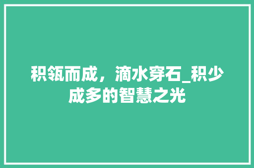 积瓴而成，滴水穿石_积少成多的智慧之光