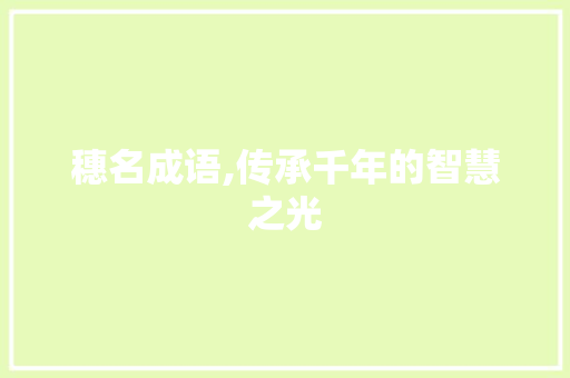 穗名成语,传承千年的智慧之光 国学经典