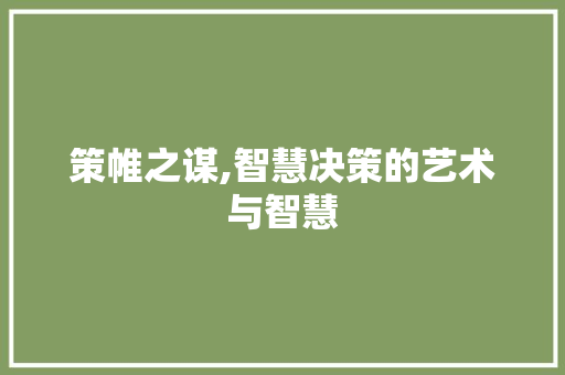 策帷之谋,智慧决策的艺术与智慧