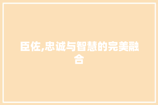 臣佐,忠诚与智慧的完美融合