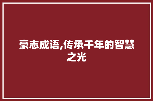 豪志成语,传承千年的智慧之光