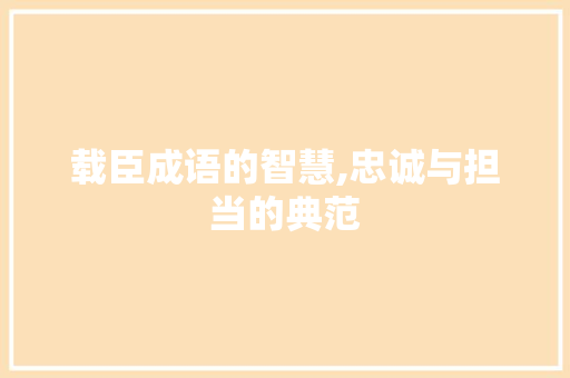 载臣成语的智慧,忠诚与担当的典范 名人名言