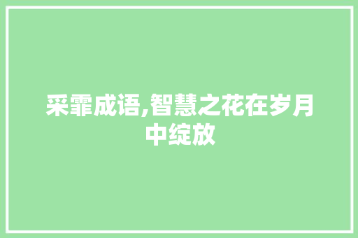 采霏成语,智慧之花在岁月中绽放