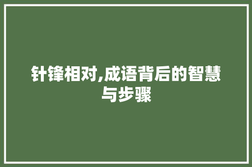 针锋相对,成语背后的智慧与步骤