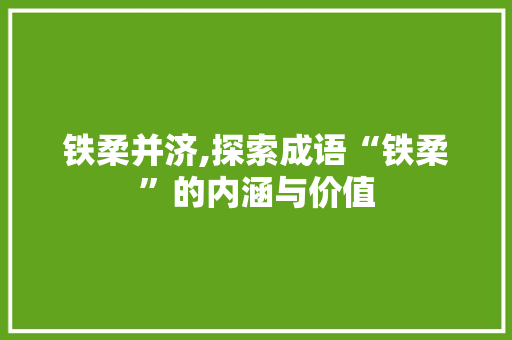 铁柔并济,探索成语“铁柔”的内涵与价值 演讲稿