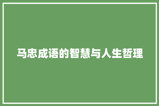 马忠成语的智慧与人生哲理