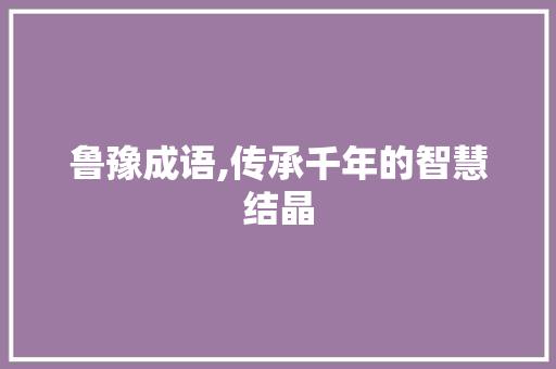 鲁豫成语,传承千年的智慧结晶