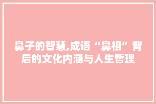 鼻子的智慧,成语“鼻祖”背后的文化内涵与人生哲理 工作总结